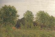 Black Poplars at Pangbourne (mk46)